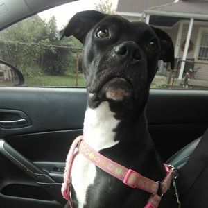 Meet your Posher, Tracey